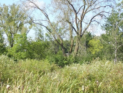 Great Hunting Parcel of 35 Acres - image 44
