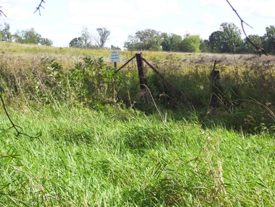 Great Hunting Parcel of 35 Acres - image 16