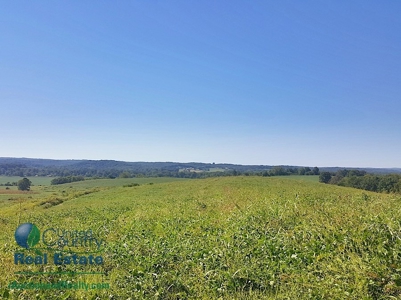 Land for Sale by Auction - Gasconade County Missouri - image 6