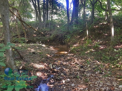 Land for Sale by Auction - Gasconade County Missouri - image 3