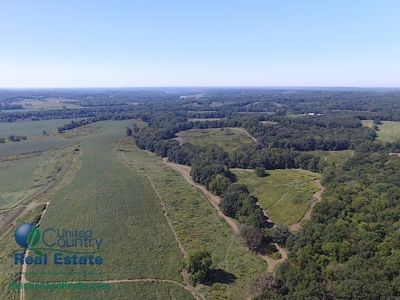 Land for Sale by Auction - Gasconade County Missouri - image 19