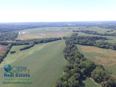 Land for Sale by Auction - Gasconade County Missouri - image 24