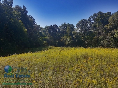 Land for Sale by Auction - Gasconade County Missouri - image 1