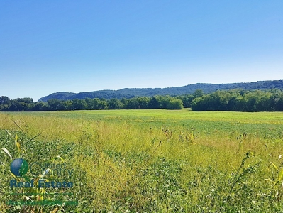 Land for Sale by Auction - Gasconade County Missouri - image 9