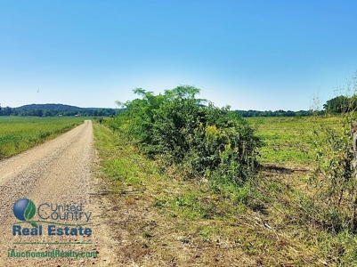 Land for Sale by Auction - Gasconade County Missouri - image 7