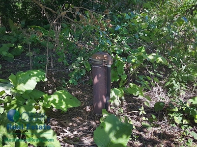 Land for Sale by Auction - Gasconade County Missouri - image 13