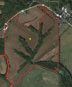 Land for Sale by Auction - Gasconade County Missouri - image 45