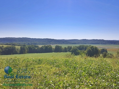 Land for Sale by Auction - Gasconade County Missouri - image 5