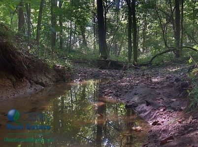 Land for Sale by Auction - Gasconade County Missouri - image 2