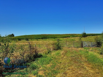 Land for Sale by Auction - Gasconade County Missouri - image 8