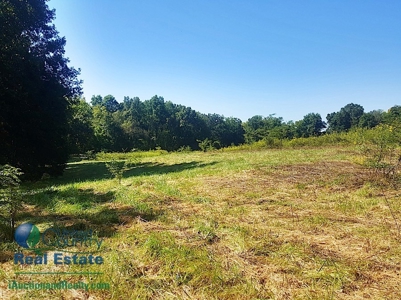 Land for Sale by Auction - Gasconade County Missouri - image 4