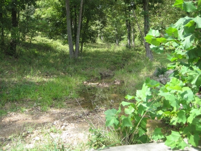 Country Home For Sale in Missouri!  60 Acres With Big House! - image 9