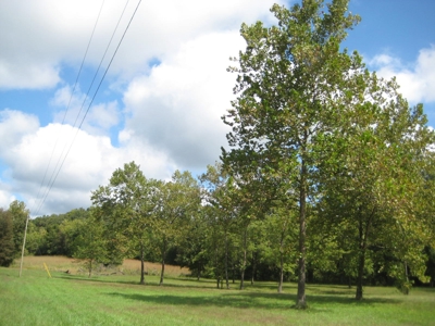 Country Home For Sale in Missouri!  60 Acres With Big House! - image 1