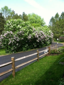 Country Home For Sale near Seneca Falls, NY - image 38