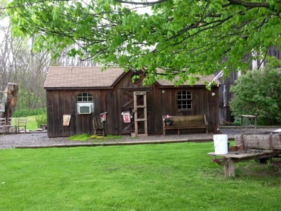 Country Home For Sale near Seneca Falls, NY - image 3