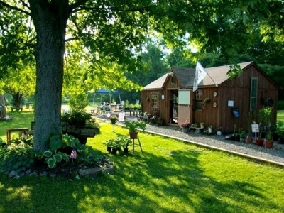 Country Home For Sale near Seneca Falls, NY - image 5