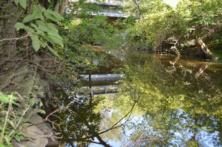 Hustisford WI waterfront home sold at auction - image 5
