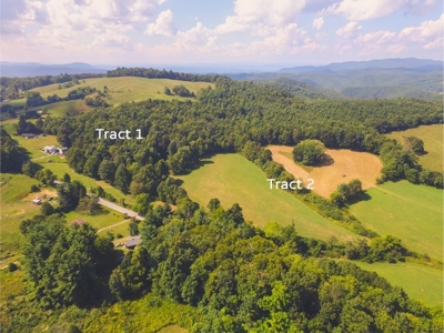 16.3 Acres for Sale at Absolute Auction in Floyd County VA! - image 5