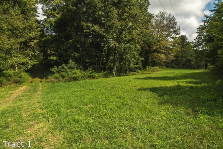 16.3 Acres for Sale at Absolute Auction in Floyd County VA! - image 4