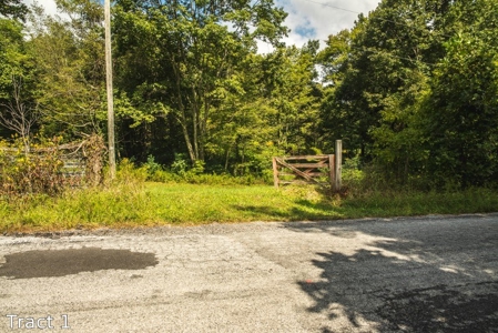 16.3 Acres for Sale at Absolute Auction in Floyd County VA! - image 3