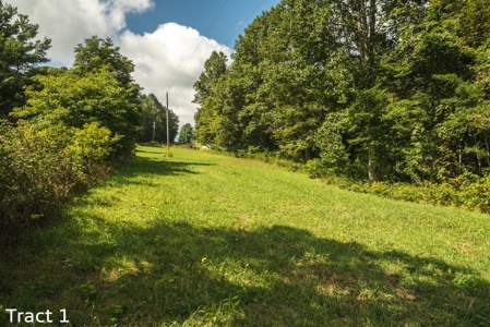 16.3 Acres for Sale at Absolute Auction in Floyd County VA! - image 1