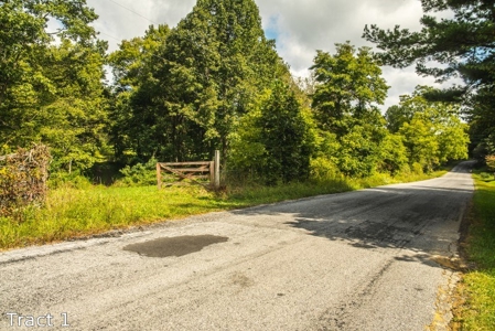 16.3 Acres for Sale at Absolute Auction in Floyd County VA! - image 2