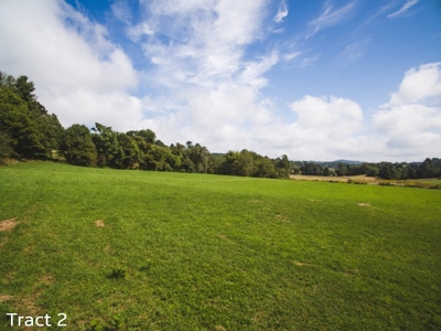 Farm Land for Sale at Absolute Auction in Copper Hill VA! - image 6