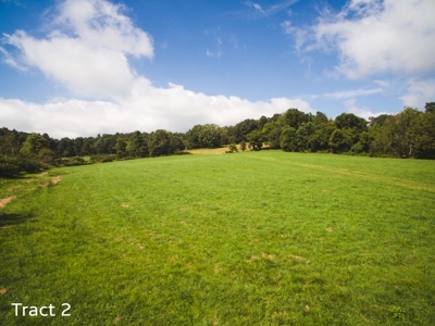 Farm Land for Sale at Absolute Auction in Copper Hill VA! - image 2