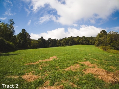 Farm Land for Sale at Absolute Auction in Copper Hill VA! - image 7