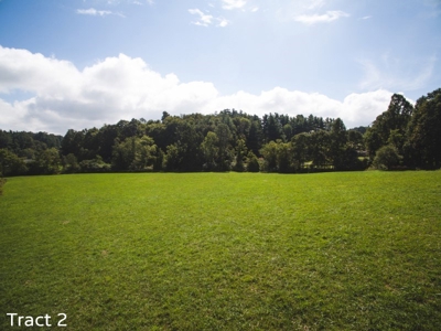 Farm Land for Sale at Absolute Auction in Copper Hill VA! - image 9