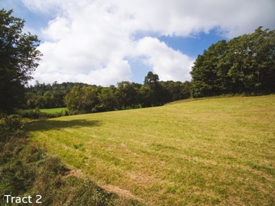 Farm Land for Sale at Absolute Auction in Copper Hill VA! - image 11