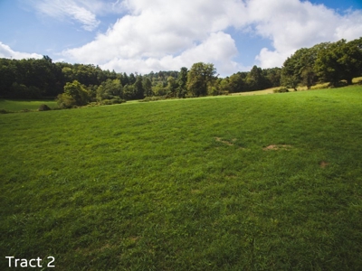 Farm Land for Sale at Absolute Auction in Copper Hill VA! - image 10