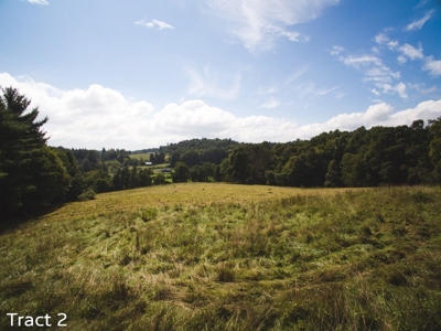 Farm Land for Sale at Absolute Auction in Copper Hill VA! - image 4