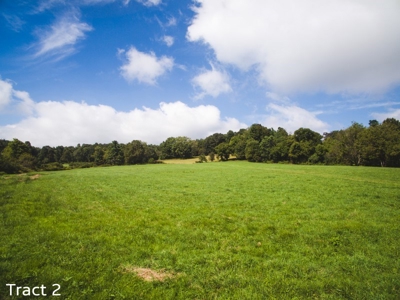 Farm Land for Sale at Absolute Auction in Copper Hill VA! - image 1
