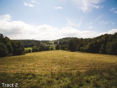 Farm Land for Sale at Absolute Auction in Copper Hill VA! - image 5
