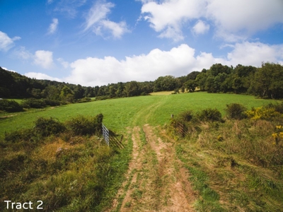 Farm Land for Sale at Absolute Auction in Copper Hill VA! - image 3
