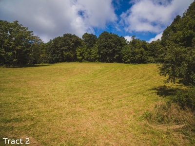 Farm Land for Sale at Absolute Auction in Copper Hill VA! - image 12