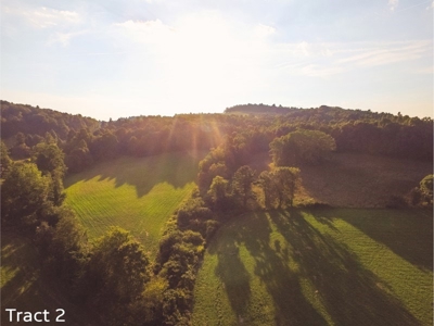 Farm Land for Sale at Absolute Auction in Copper Hill VA! - image 13