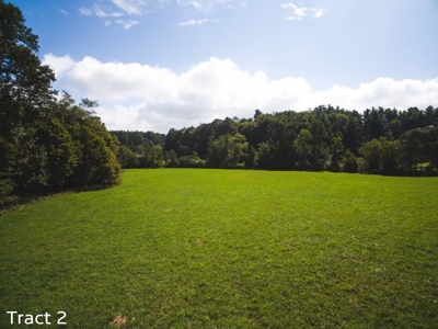 Farm Land for Sale at Absolute Auction in Copper Hill VA! - image 8