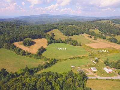 Farm Land for Sale at Absolute Auction in Copper Hill VA! - image 16