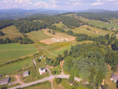 30 Acres for Sale at Absolute Auction in Copper Hill VA! - image 10