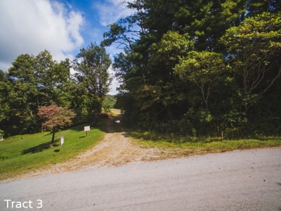 30 Acres for Sale at Absolute Auction in Copper Hill VA! - image 4