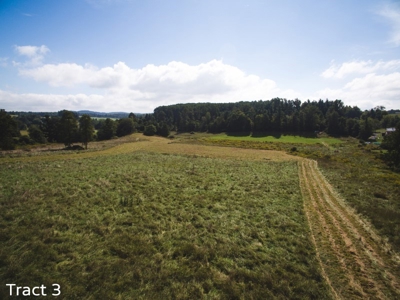 30 Acres for Sale at Absolute Auction in Copper Hill VA! - image 3