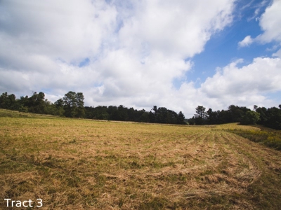 30 Acres for Sale at Absolute Auction in Copper Hill VA! - image 6
