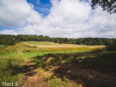 30 Acres for Sale at Absolute Auction in Copper Hill VA! - image 1