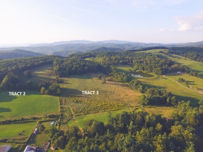 30 Acres for Sale at Absolute Auction in Copper Hill VA! - image 8