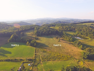 30 Acres for Sale at Absolute Auction in Copper Hill VA! - image 9