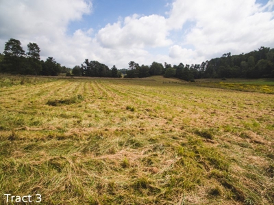30 Acres for Sale at Absolute Auction in Copper Hill VA! - image 7
