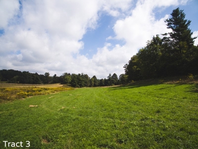 30 Acres for Sale at Absolute Auction in Copper Hill VA! - image 5