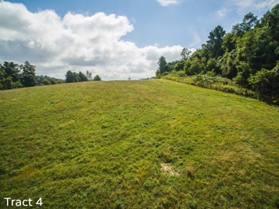 10 Acres for Sale at Absolute Auction in Copper Hill VA! - image 2